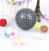 Spiky Point Massage Ball Roller